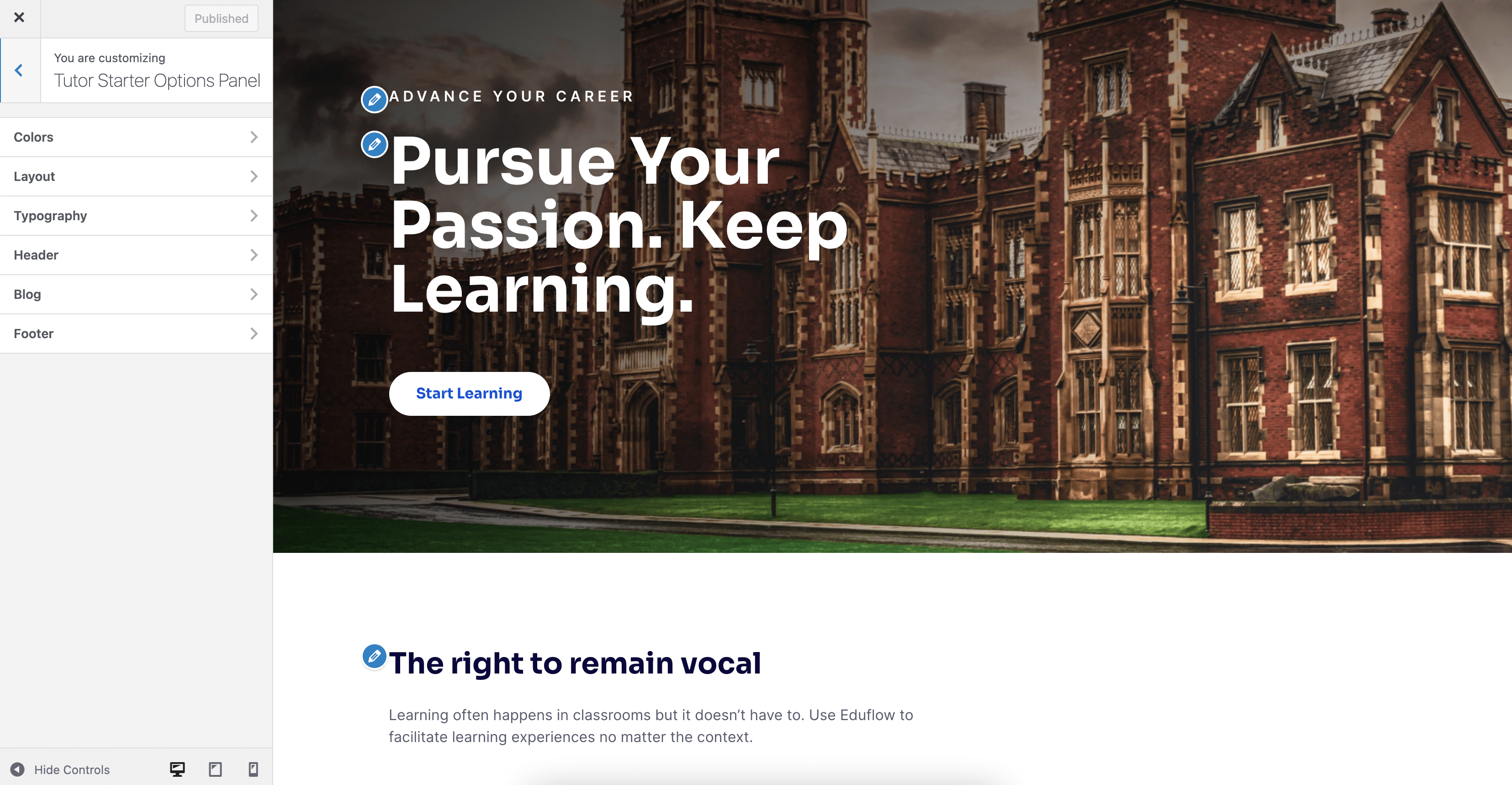 Options panel for Tutor Starter Theme of Tutor LMS