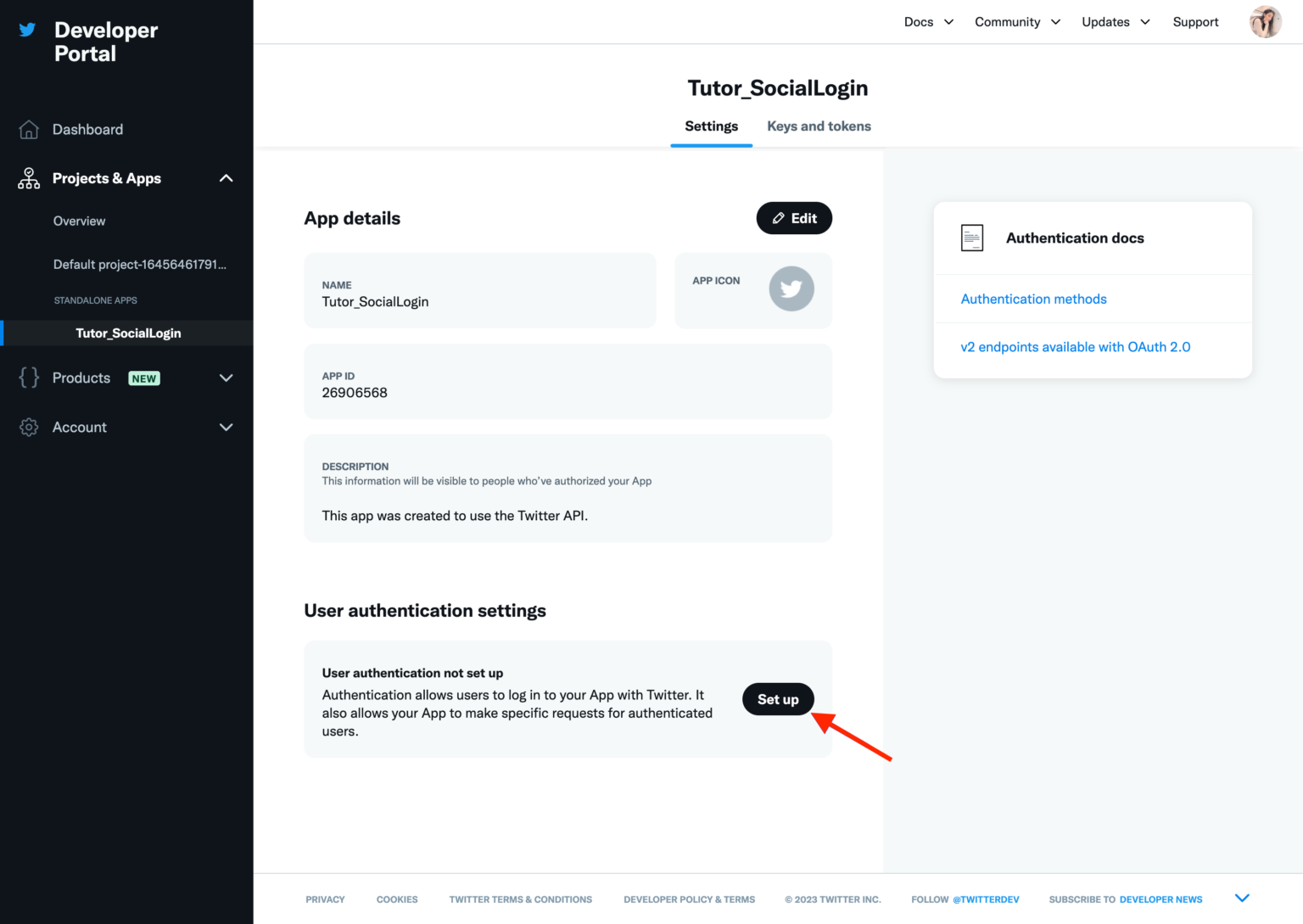 Documention | How to Get Twitter API Key