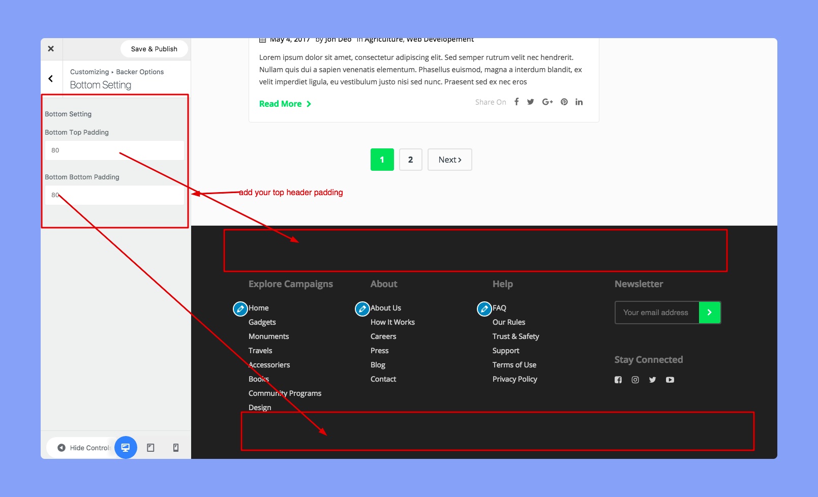 Bottom settings of Backer theme