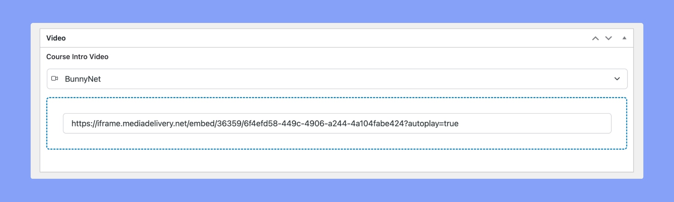 BunnyNet-paste-embed-code